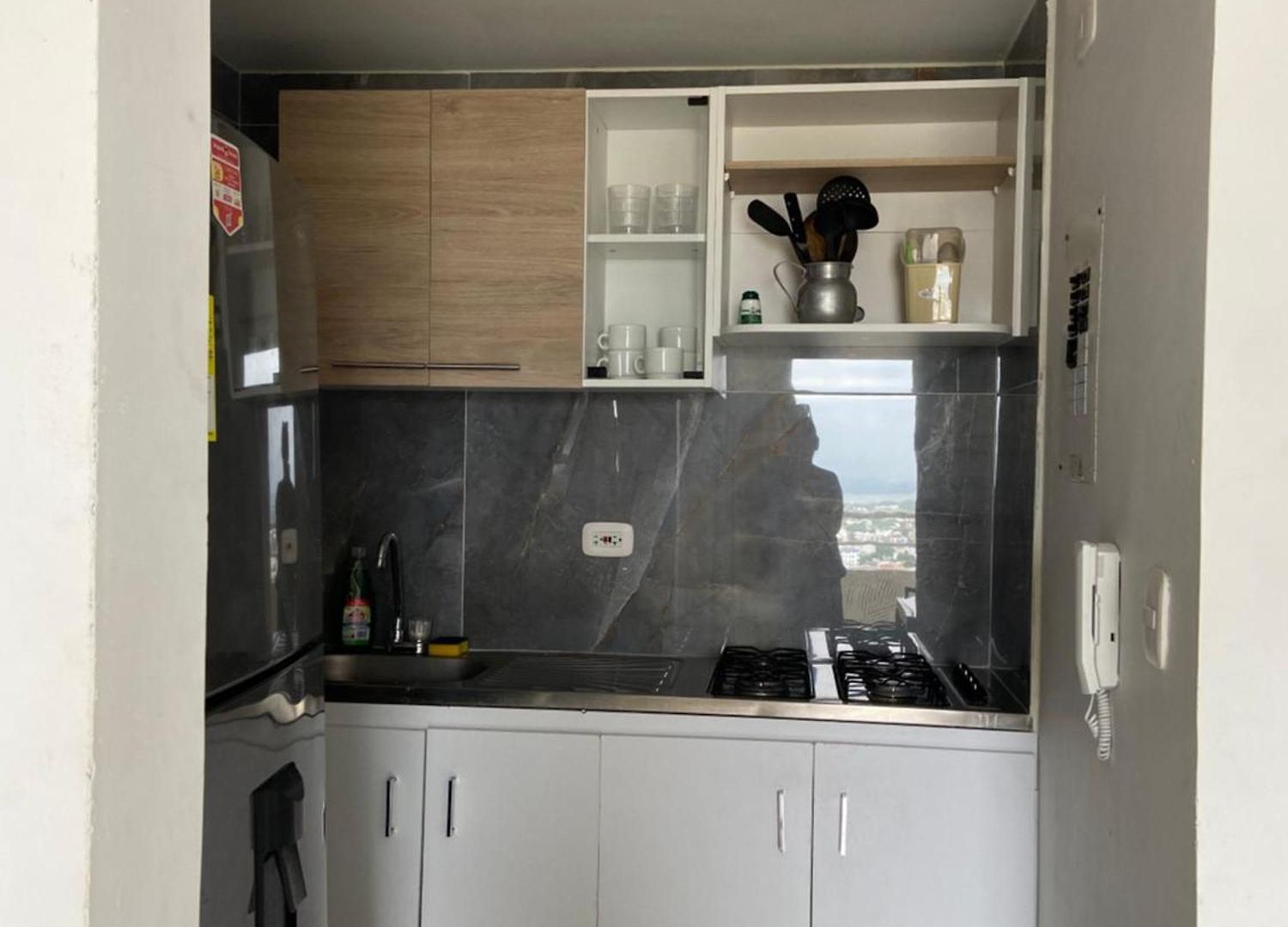 Taller Del Artista Ii Apartment